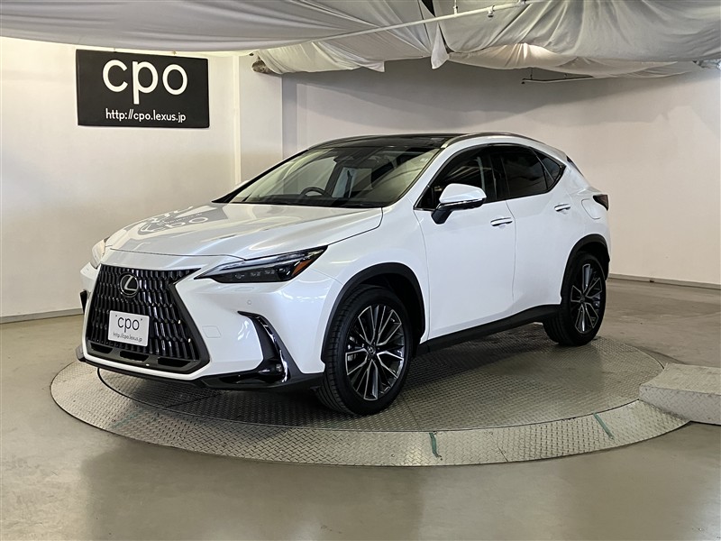 NX250 バージョンL 車両詳細 > レクサス認定中古車 LEXUS CPO