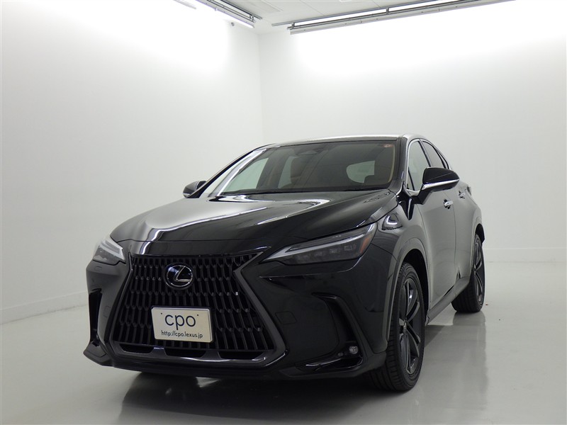 レクサス NX（レクサス）NX250（2024年2月）｜カタログから中古車を探す